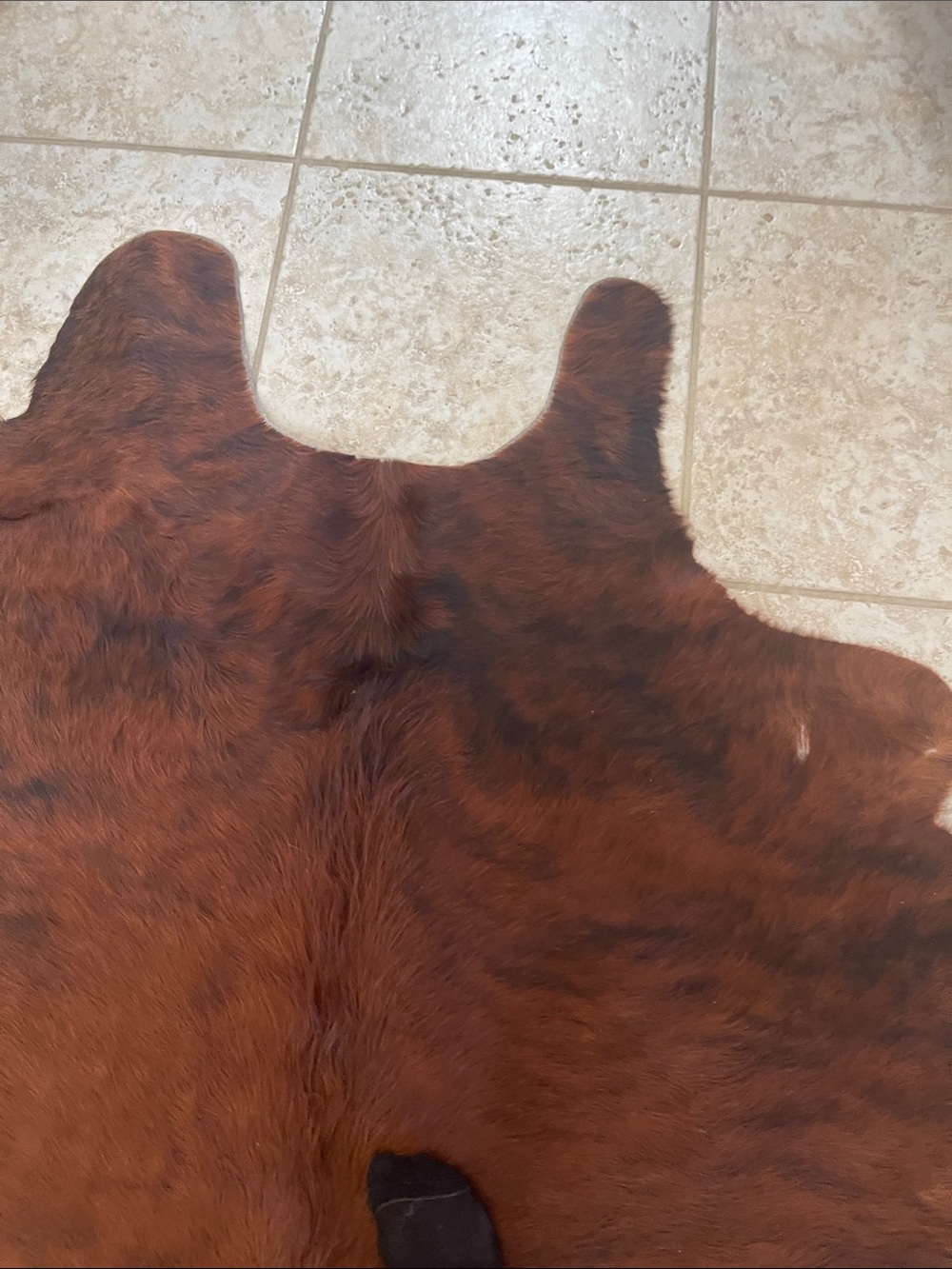 Brown Natural Cowhide Rug 85x77 xxl cowhide rug. - Picture 5 of 10